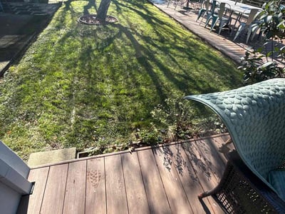 Lawn Care service in Oakland, 94612