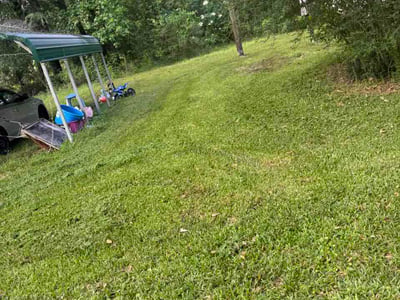 Lawn Care service in Oakland, 94612