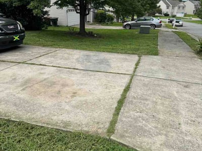 Lawn Care service in Asheboro, 27203