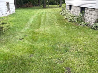 Lawn Care service in Hammond, 46324