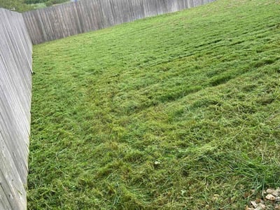 Lawn Care service in Farmington, 06032