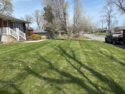 Lawn Care service in Portage, 46368