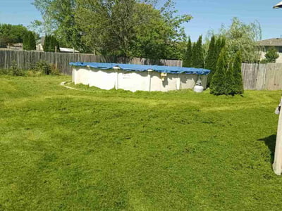 Lawn Care service in Portage, 46368