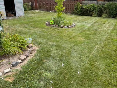 Lawn Care service in Flat Rock, 48134