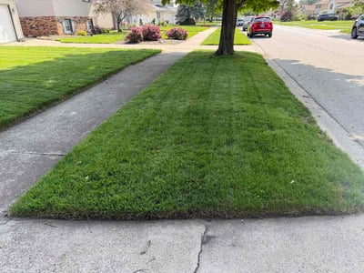 Lawn Care service in Highland, 46322