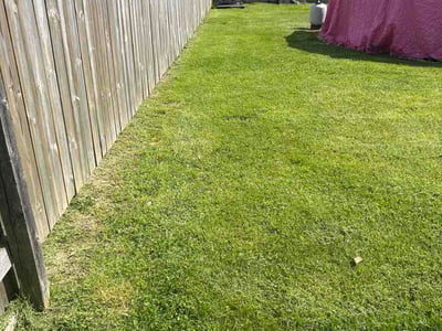 Lawn Care service in Hobart, 46342