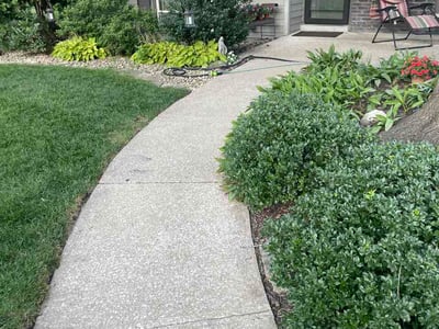 Lawn Care service in Glen Ellyn, 60137