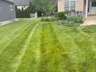 Lawn Care service in East Chicago, 46312