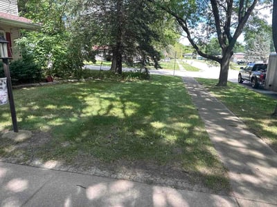 Lawn Care service in East Chicago, 46312