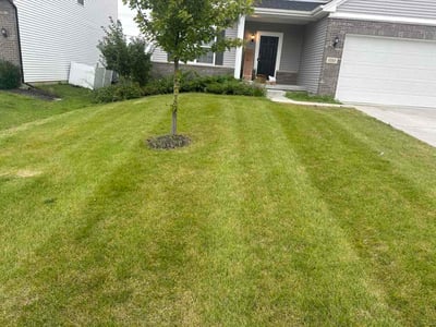 Lawn Care service in Crown Point, 46307