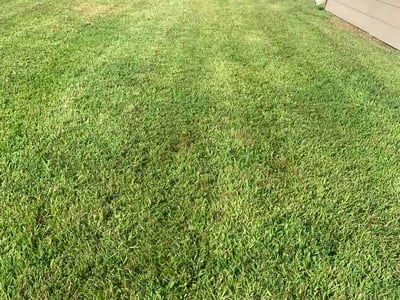 Lawn Care service in Rockport, 78382