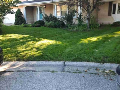 Lawn Care service in Lowell, 46356