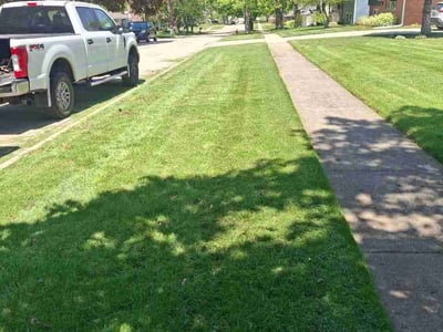 Lawn Care service in Geneva, 60134