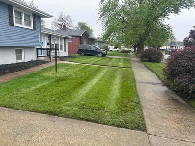 Lawn Care service in Gary, 46402