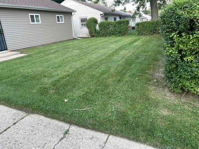 Lawn Care service in Gary, 46402