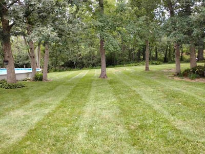 Lawn Care service in Demotte, 46310