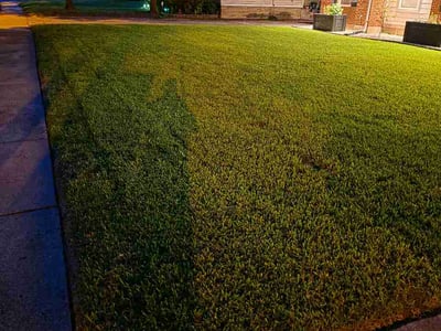Lawn Care service in Sanger, 76266