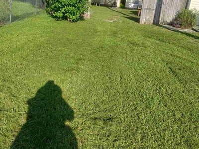 Lawn Care service in Orange City, 32763