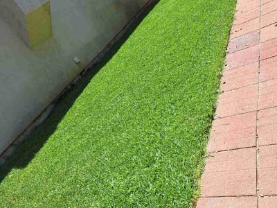 Lawn Care service in Oxnard, 93030