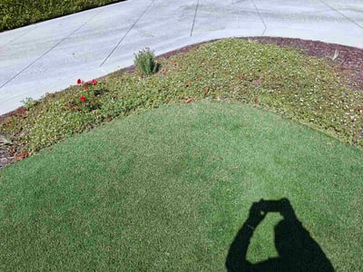Lawn Care service in Oxnard, 93030