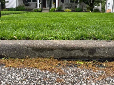 Lawn Care service in Erlanger, 41018