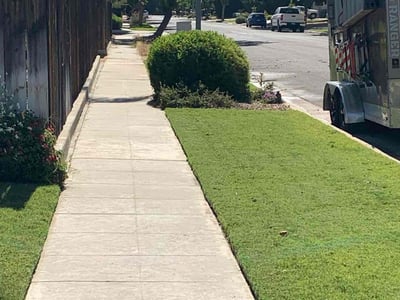 Lawn Care service in Selma, 93662