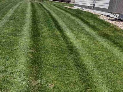 Lawn Care service in Ankeny, 50023