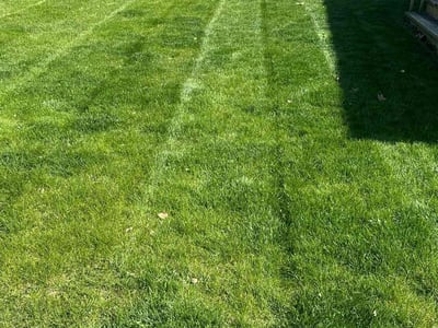 Lawn Care service in Ankeny, 50023