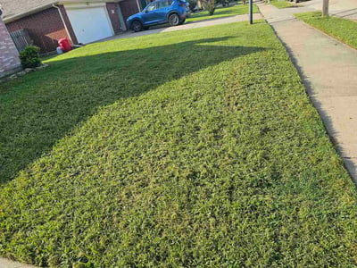 Lawn Care service in Midlothian, 76065