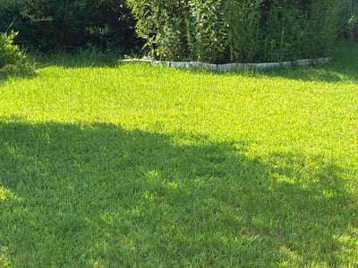 Lawn Care service in Portland, 78374