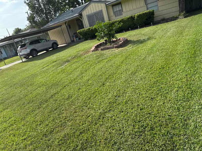 Lawn Care service in Portland, 78374