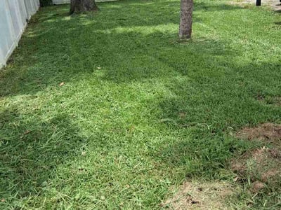 Lawn Care service in New Smyrna Beach, 32168