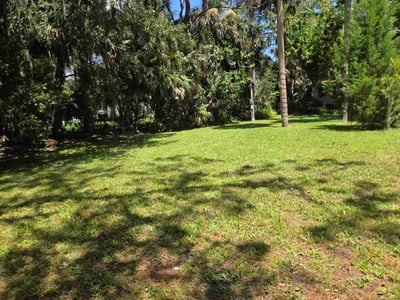 Lawn Care service in New Smyrna Beach, 32168