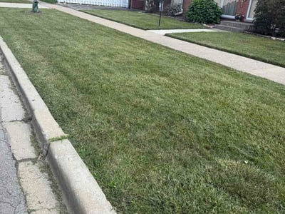 Lawn Care service in Westchester, 60154
