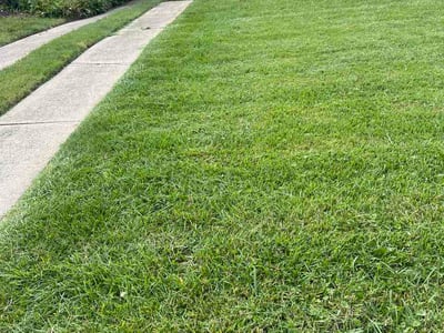 Lawn Care service in Westchester, 60154