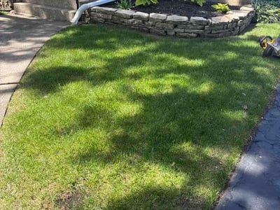 Lawn Care service in Westchester, 60154