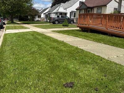 Lawn Care service in Wayne, 48184