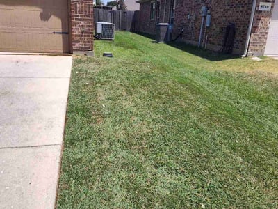 Lawn Care service in Aubrey, 76227
