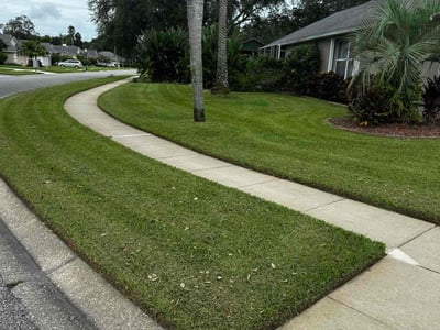 Lawn Care service in Port Orange, 32127