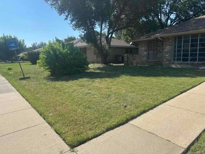 Lawn Care service in Aubrey, 76227