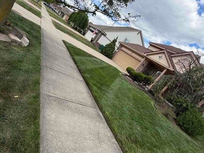 Lawn Care service in Harper Woods, 48225