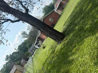 Lawn Care service in Burlington, 41005