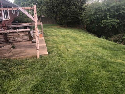 Lawn Care service in Troy, 45373