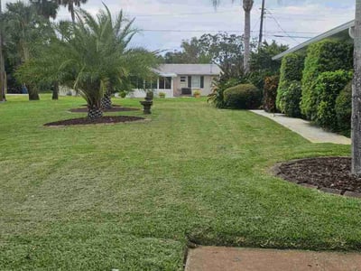 Lawn Care service in Ormond Beach, 32174