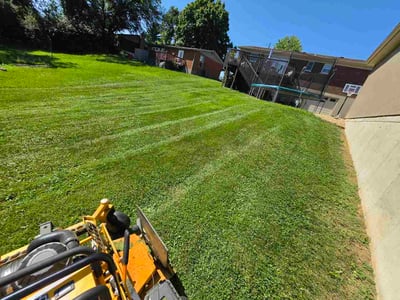 Lawn Care service in Independence, 41051