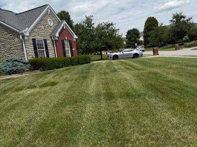 Lawn Care service in Independence, 41051