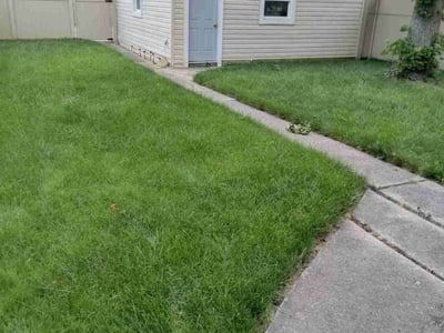 Lawn Care service in Montgomery, 60538