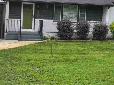 Lawn Care service in Rock Hill, 29730