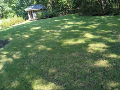 Lawn Care service in Rock Hill, 29730