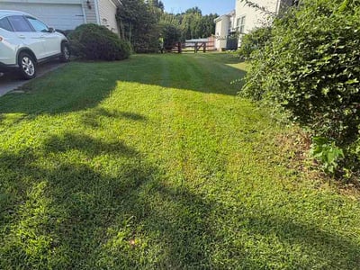Lawn Care service in Florence, 41042